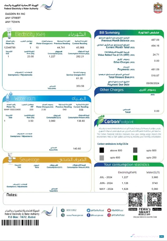 UAE Dubai Federal Electricity & Water Authority business utility bill Word and PDF template